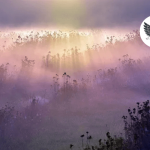 Штормовое предупреждение в 16 регионах Казахстана