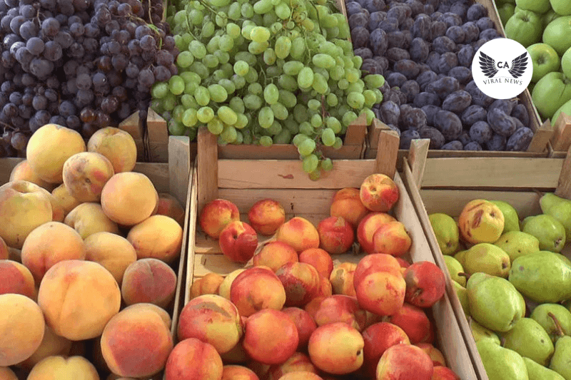 В России уничтожено более 730 кг продукции из Узбекистана и Таджикистана