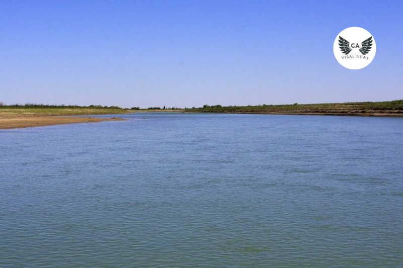 Узбекистан и Кыргызстан направят Казахстану 600 млн кубометров воды