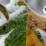 Заморозки до -2°C и грозы ожидаются в Казахстане 16 сентября