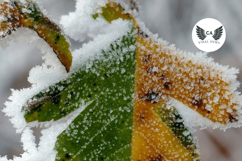 Заморозки до -2°C и грозы ожидаются в Казахстане 16 сентября