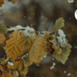 Похолодание и осадки ожидаются в Казахстане с 30 октября по 1 ноября прогноз синоптиков РГП «Казгидромет»