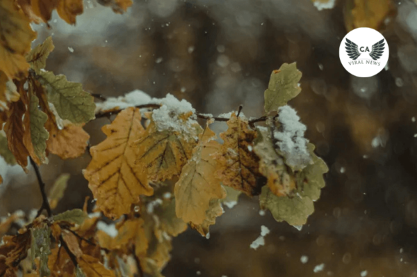 Похолодание и осадки ожидаются в Казахстане с 30 октября по 1 ноября: прогноз синоптиков РГП «Казгидромет»