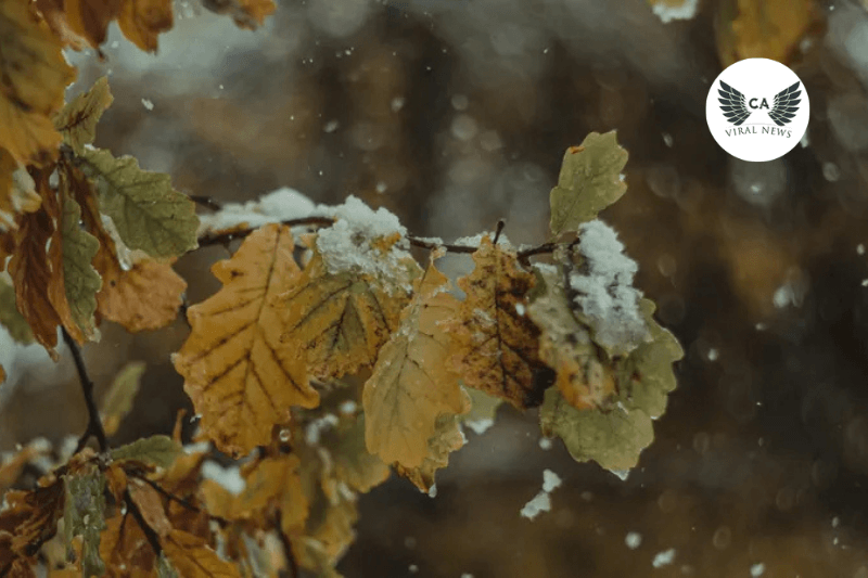 Похолодание и осадки ожидаются в Казахстане с 30 октября по 1 ноября прогноз синоптиков РГП «Казгидромет»