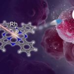 В ОАЭ впервые изолированы лимфоциты из опухолей Центр стволовых клеток Абу-Даби открывает новую эру терапии рака