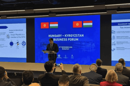 Инвестиции Венгрии в солнечную энергетику Кыргызстана $300 млн