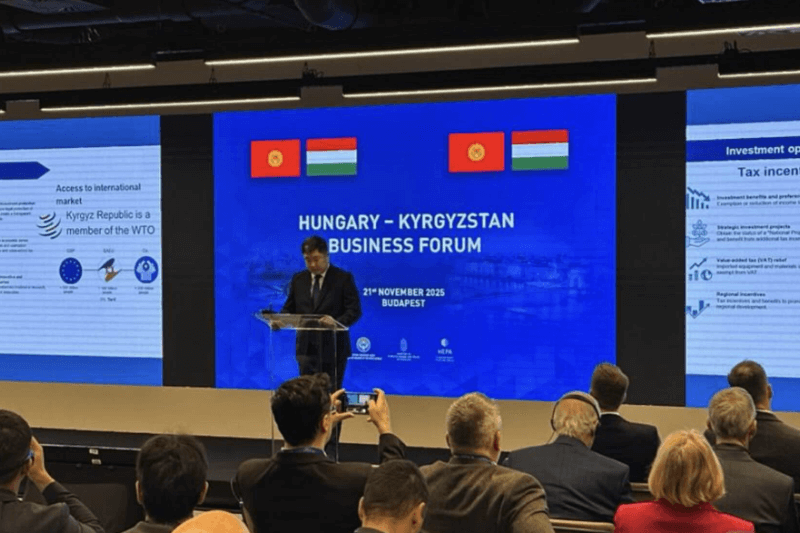 Инвестиции Венгрии в солнечную энергетику Кыргызстана $300 млн