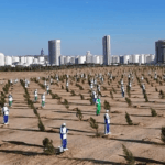 Озеленение Туркменистана старт осенней кампании — 3 миллиона саженцев для Ашхабада, Аркадага и регионов