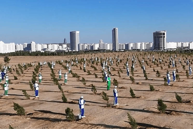 Озеленение Туркменистана старт осенней кампании — 3 миллиона саженцев для Ашхабада, Аркадага и регионов