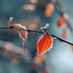 Похолодание в Казахстане до –23°C прогноз с 18 по 20 ноября