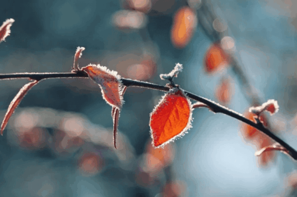 Похолодание в Казахстане до –23°C: прогноз с 18 по 20 ноября