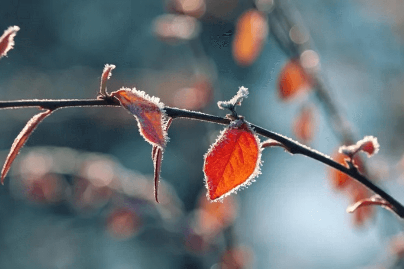 Похолодание в Казахстане до –23°C прогноз с 18 по 20 ноября