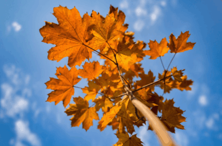 Прогноз погоды Кыргызстан на 7 дней тепло до конца недели