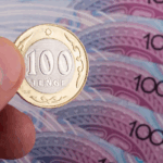 Списание мошеннических кредитов в Казахстане Абылкасымова объяснила, как пострадавшие граждане смогут вернуть справедливость без суда