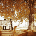 Теплая осень вернется какой будет погода на праздники в Таджикистане с 6 по 10 ноября