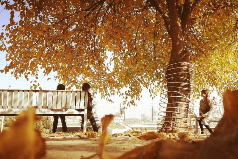 Теплая осень вернется какой будет погода на праздники в Таджикистане с 6 по 10 ноября