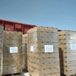 Туркменистан направит гуманитарную помощь Афганистану после нового землетрясения, унесшего жизни десятков людей