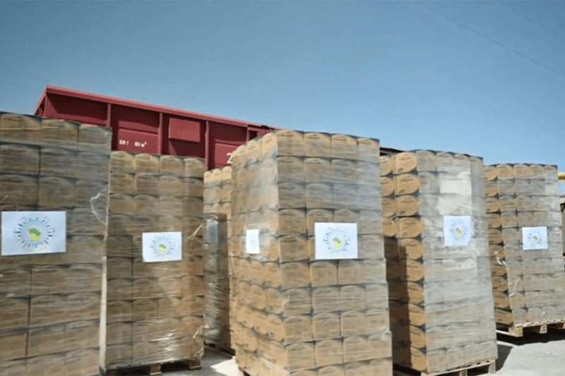 Туркменистан направит гуманитарную помощь Афганистану после нового землетрясения, унесшего жизни десятков людей