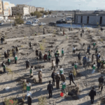 В Узбекистане к 80-летию ЮНЕСКО разбили зеленые сады и высадили десятки тысяч деревьев