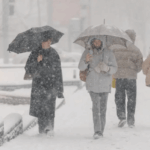 Аномальная зимняя погода Казахстана прогнозы и факты 2024