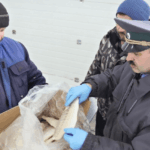 Экспорт рыбы из Астраханской области отправлено 18,9 тонны