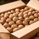 160 кг ввоз орехов без сертификата пресечён в Омской области