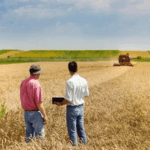 5 направлений сотрудничества России и ОАЭ в сельском хозяйстве