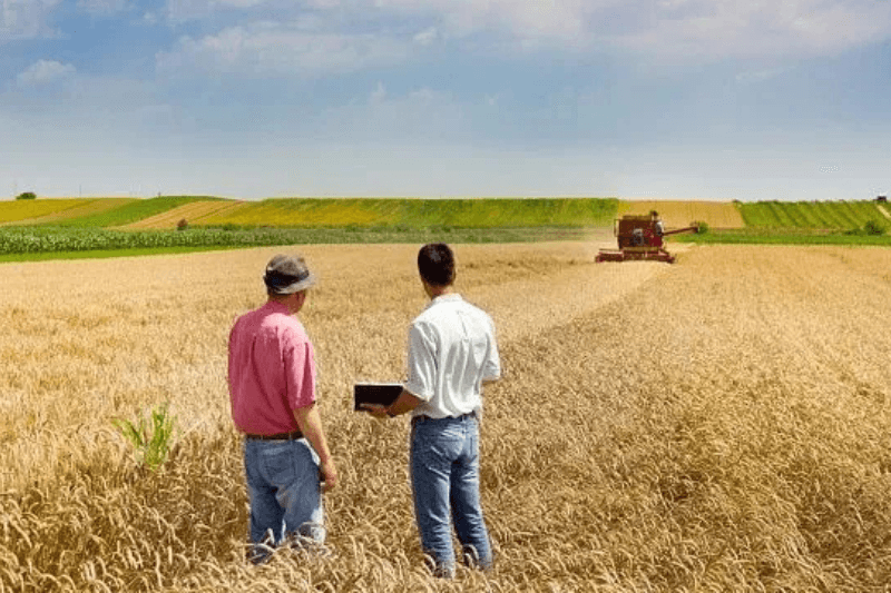 5 направлений сотрудничества России и ОАЭ в сельском хозяйстве