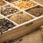 Экспорт Кыргызстана в Китай в 2025 рост и новые рынки