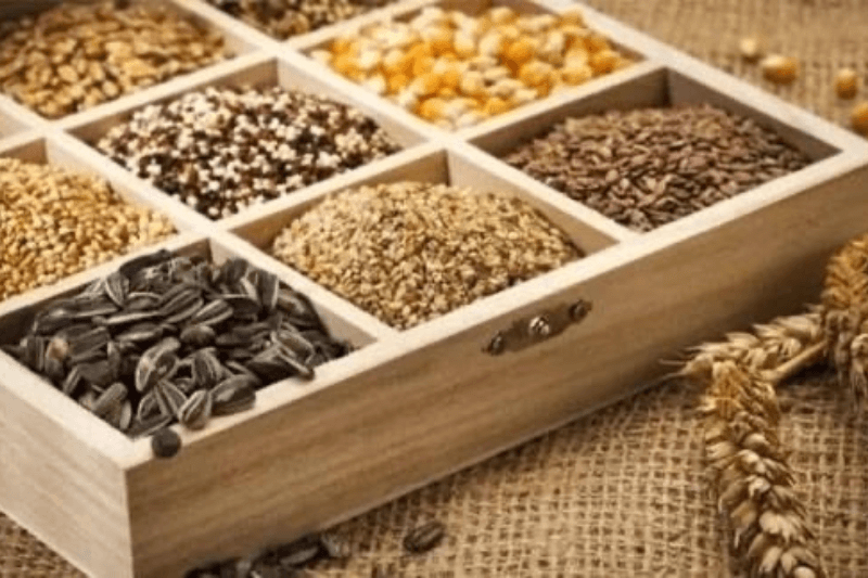 Экспорт Кыргызстана в Китай в 2026: рост и новые рынки