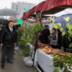 Национальный праздник Сада в Гиссаре события 2026 года