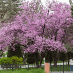 15 изменений в законодательстве Узбекистана с 1 марта