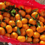 Узбекистан ввел запрет ввоза мандаринов из Китая в 2026 году