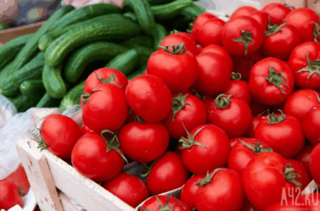 116 тонн поставки овощей в Кузбасс из Азии