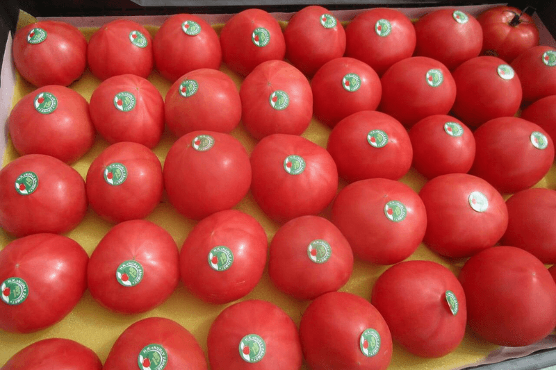 20-й случай южноамериканская томатная моль в томатах