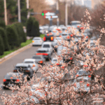 4 выходных на Рамазан хайит и Навруз в Узбекистане