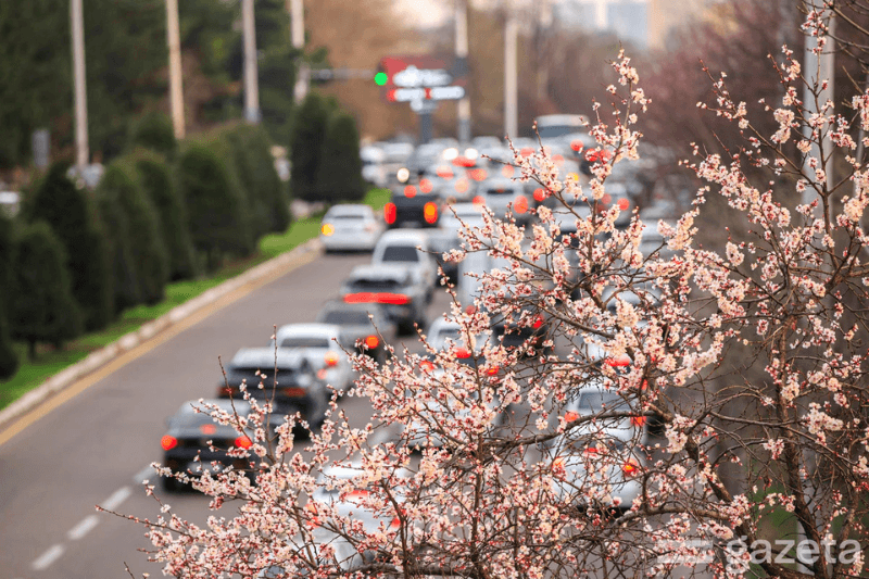 4 выходных на Рамазан хайит и Навруз в Узбекистане