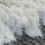 5 мер предотвращение паводка Тобол Курган Казахстан