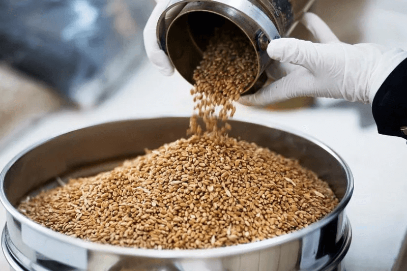 70% переработки планы АПК Казахстана к 2026