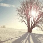 Резкое похолодание в Казахстане морозы до −30°