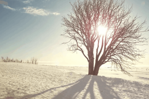 Резкое похолодание в Казахстане: морозы до −30°