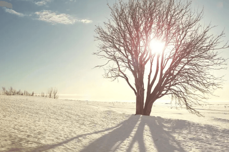 Резкое похолодание в Казахстане морозы до −30°