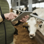 Сельскохозяйственная перепись в Кыргызстане 2026