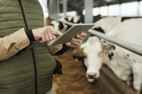 Сельскохозяйственная перепись в Кыргызстане 2026