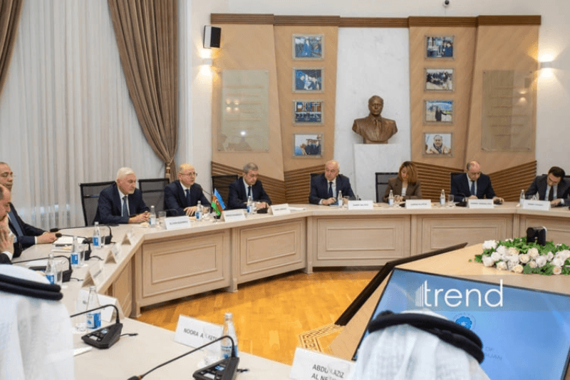 5 направлений сотрудничества Азербайджана и ОАЭ в энергетике