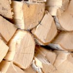 Экспорт древесины Удмуртия Таджикистан вырос на 52%