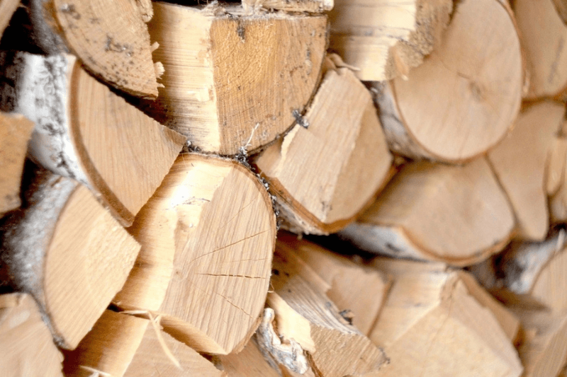 Экспорт древесины Удмуртия Таджикистан вырос на 52%