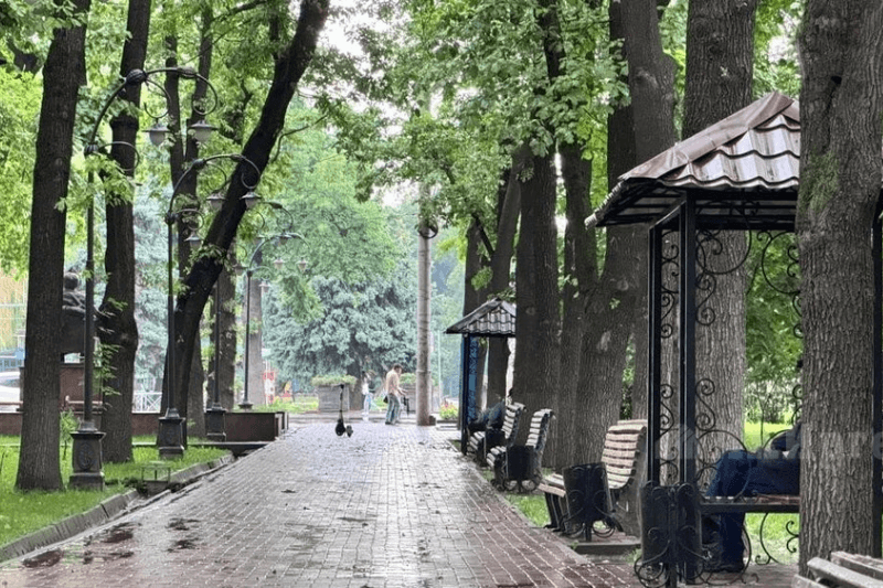 Погода в Кыргызстане прогноз на 8–15 апреля